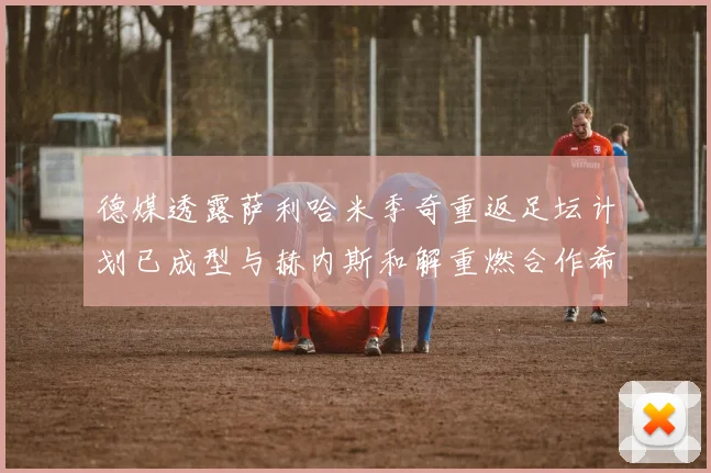 德媒透露萨利哈米季奇重返足坛计划已成型与赫内斯和解重燃合作希望