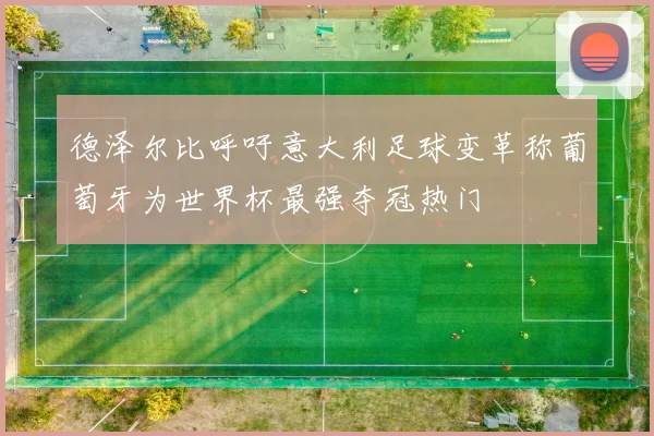 德泽尔比呼吁意大利足球变革称葡萄牙为世界杯最强夺冠热门